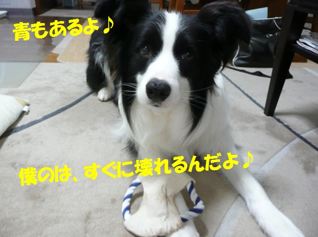 c0147241_22195427.jpg