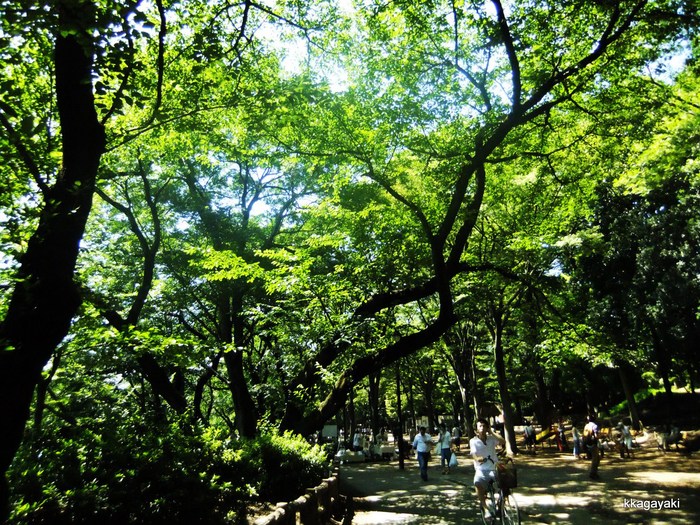 吉祥寺　井の頭公園_e0206242_23573886.jpg