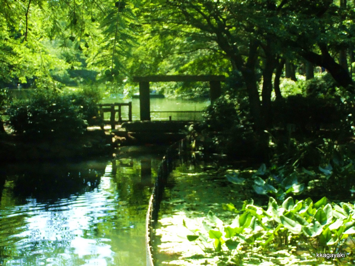 吉祥寺　井の頭公園_e0206242_23591851.jpg