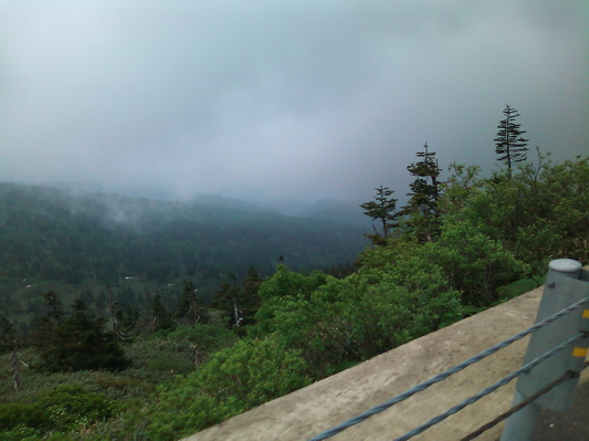 d0155148_20431548.jpg