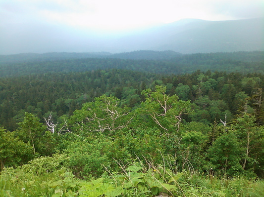 d0155148_20522540.jpg