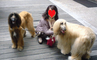 f0203249_1433339.gif