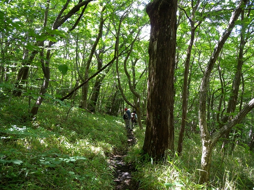 九重 平治岳へ_b0161750_2241122.jpg