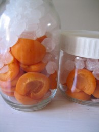 杏の砂糖漬け Mon Tresor 杏の砂糖漬け Mon Tresor