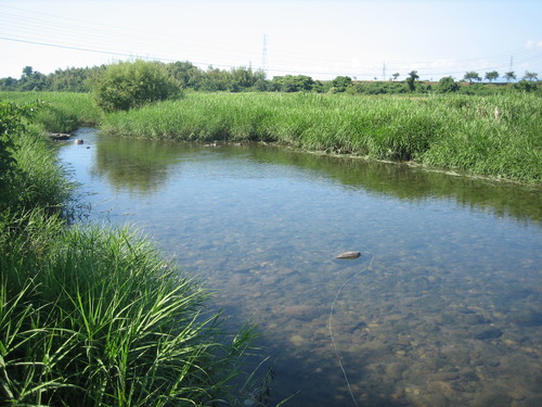 b0142354_16523672.jpg