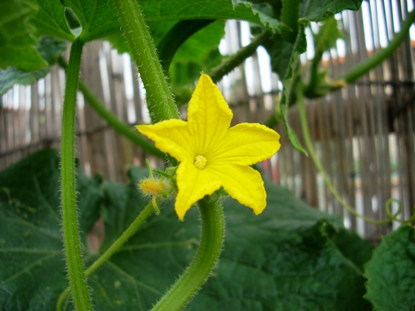 f0156158_7101220.jpg