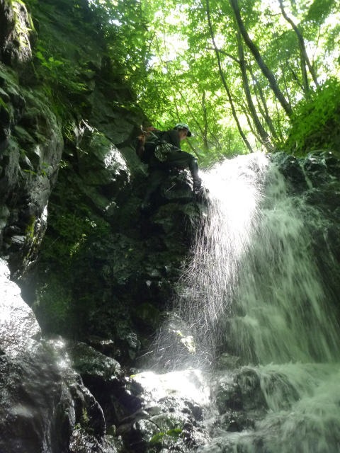 d0110562_21533784.jpg