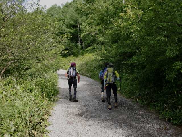 d0010065_1558738.jpg