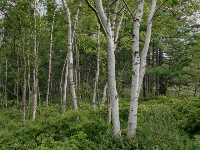 d0010065_1601090.jpg