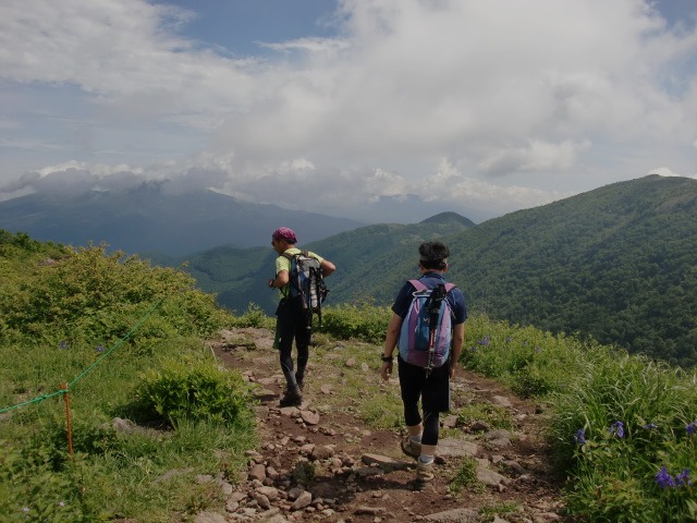 d0010065_16115141.jpg