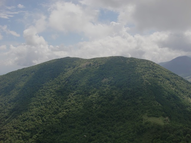 d0010065_16245349.jpg