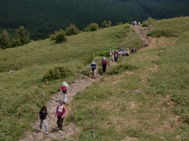 d0010065_16303596.jpg