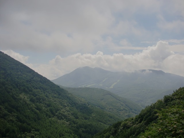 d0010065_1654591.jpg