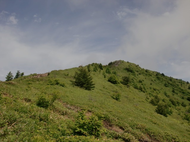 d0010065_1665499.jpg