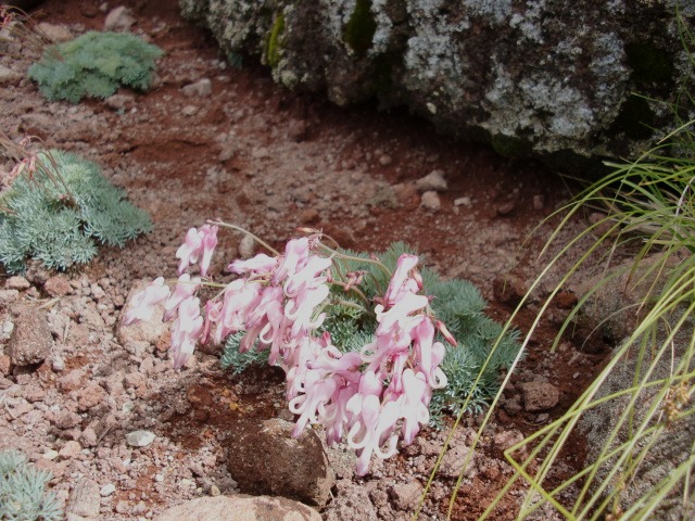 d0010065_1693168.jpg