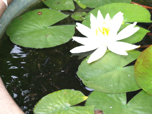 f0208666_15494340.jpg