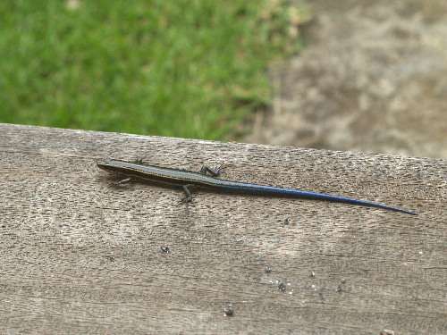 f0208666_1672698.jpg