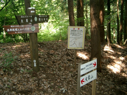 埼玉県　５番コース　大霧山に登るみち_c0022168_814365.jpg