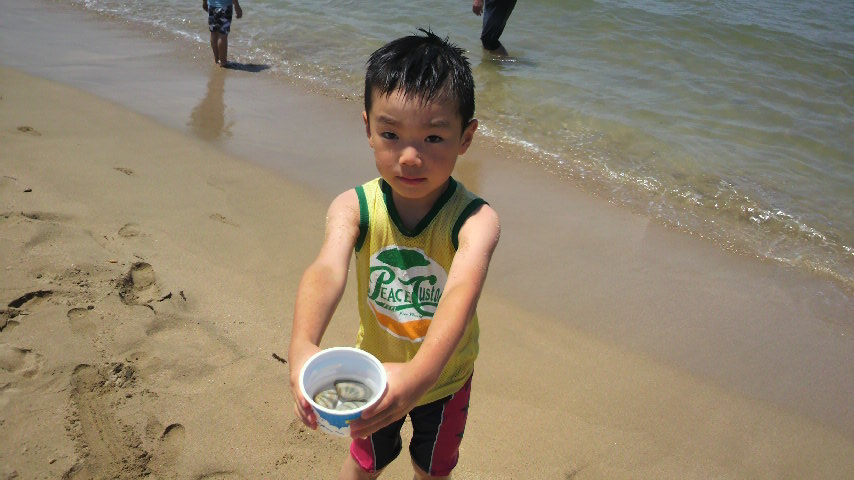 夏が来た!_a0200771_1515738.jpg