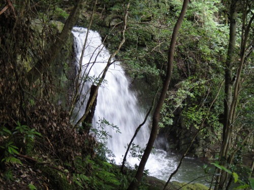 記念登山　金山（福岡市早良区）_d0182075_17232094.jpg