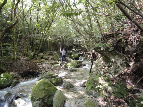 記念登山　金山（福岡市早良区）_d0182075_17343849.jpg