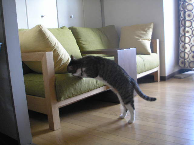 b0192980_11375788.jpg