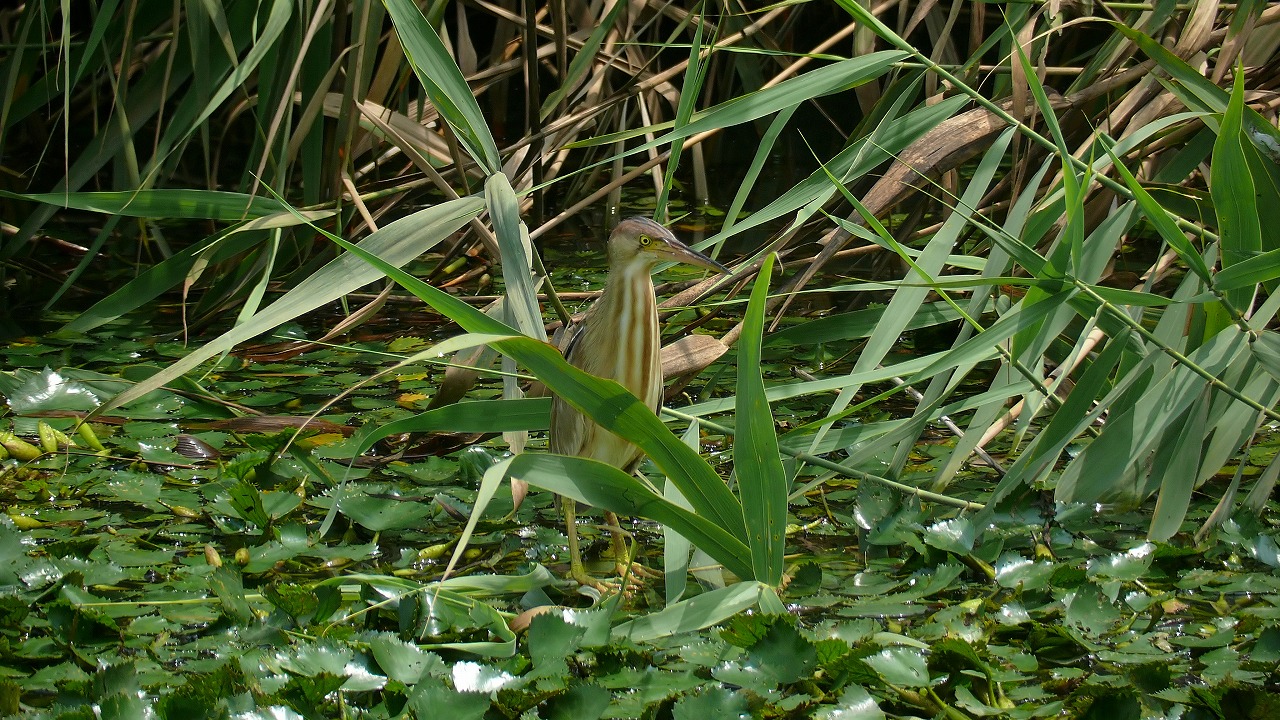 a0185081_1557175.jpg