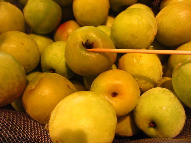 f0209683_142256.jpg