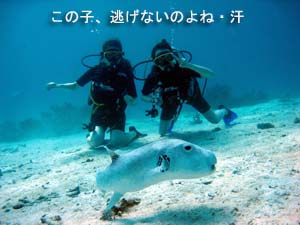 どんぶらっこっと楽園へ♪_f0144385_2057176.jpg