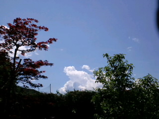 d0027486_1123181.jpg