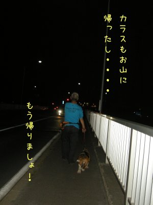 夜のお散歩～♪_f0205887_20551042.jpg