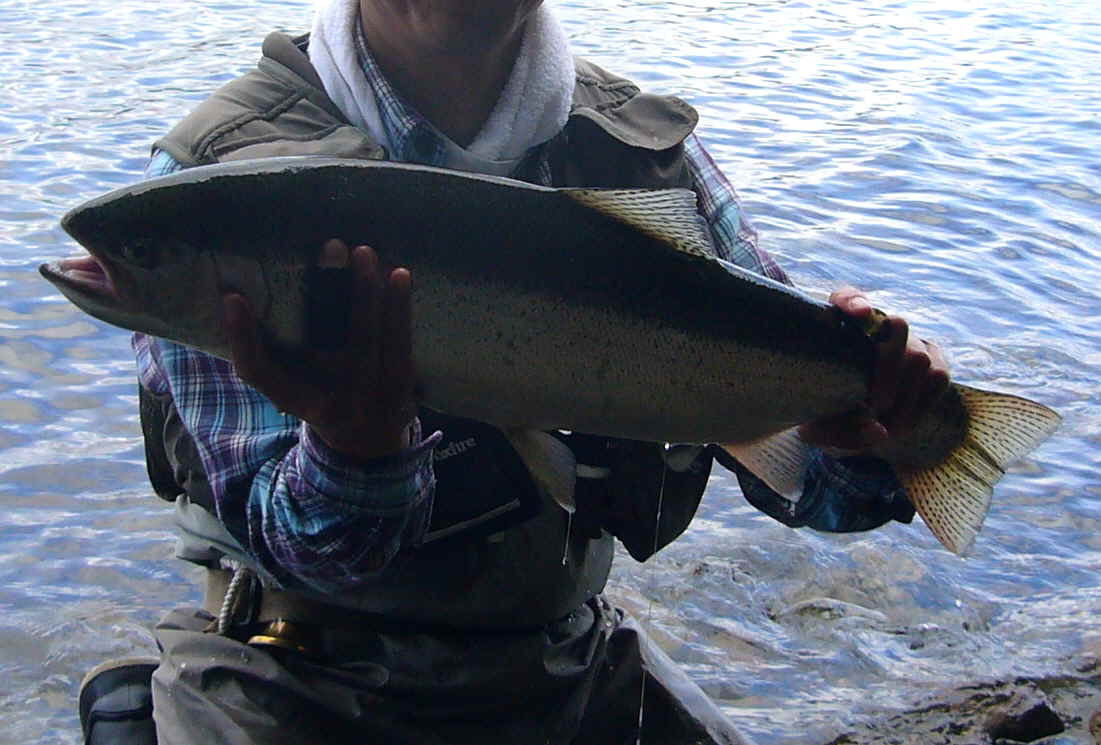 a0118989_2093570.jpg