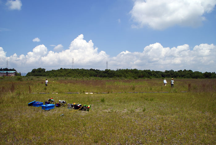 f0175989_1759532.jpg