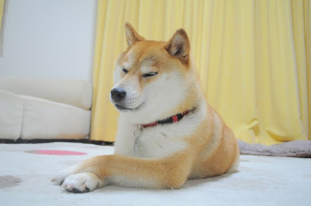 つーちゃんが怖い!_a0126590_3423329.jpg