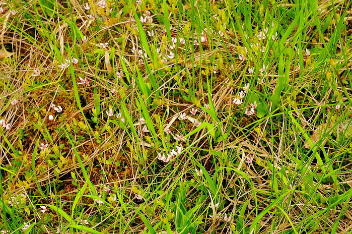 b0217090_7182951.jpg