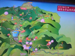 b0035391_13383854.jpg