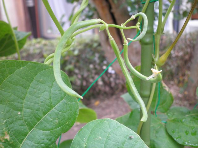 f0130894_2139078.jpg