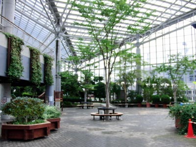 e0140496_1848576.jpg