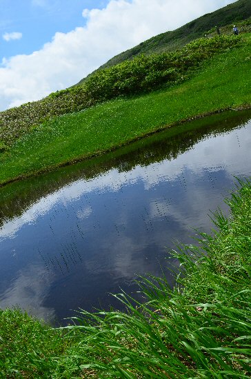 夏雲が美しくて・・・・_c0217898_1553672.jpg