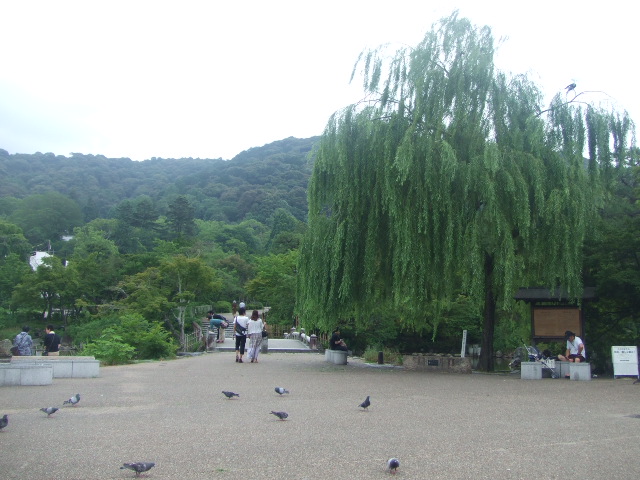 京都散策2日目_f0076001_1192372.jpg