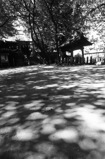 b0190603_16385738.jpg