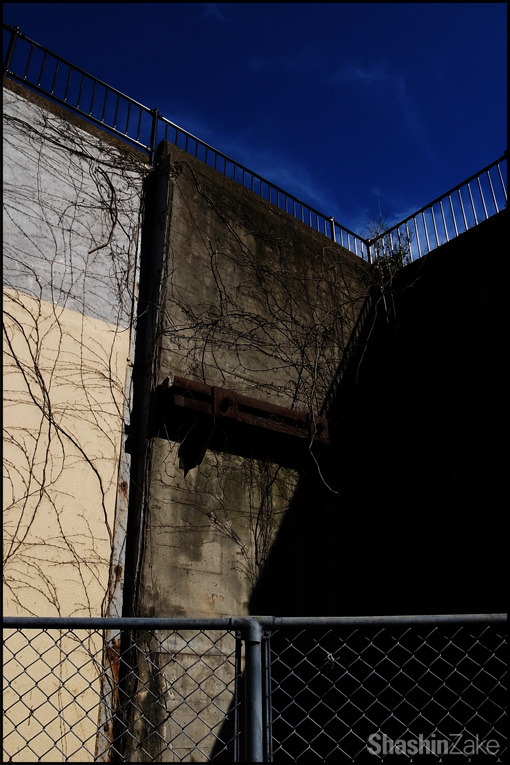 c0102003_4381111.jpg