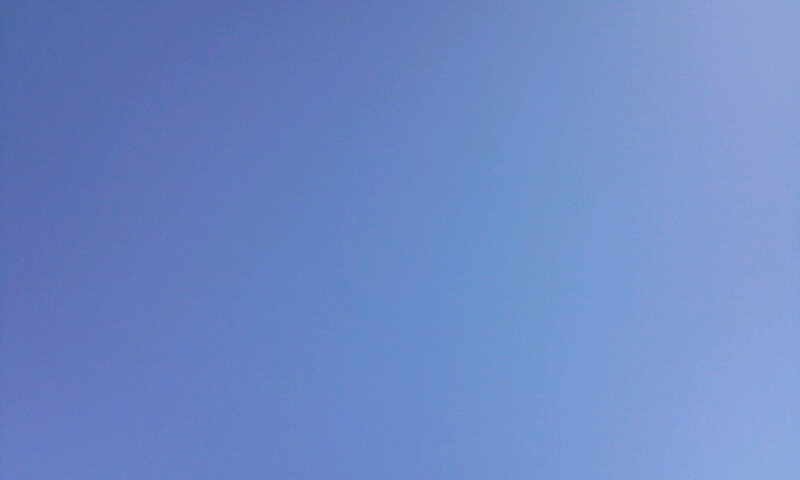 d0093903_8314796.jpg