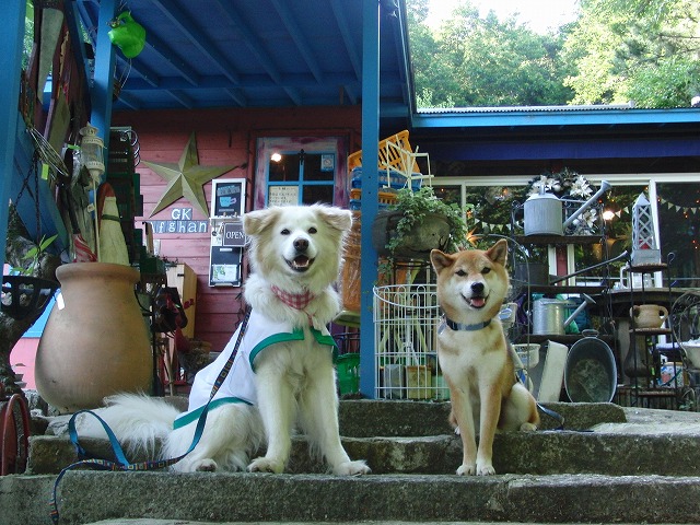 a0032004_151525.jpg