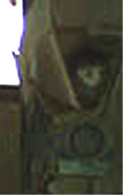 e0103408_1554445.jpg