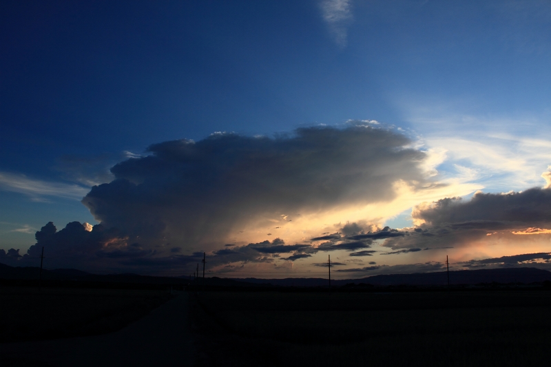 a0030713_2204382.jpg