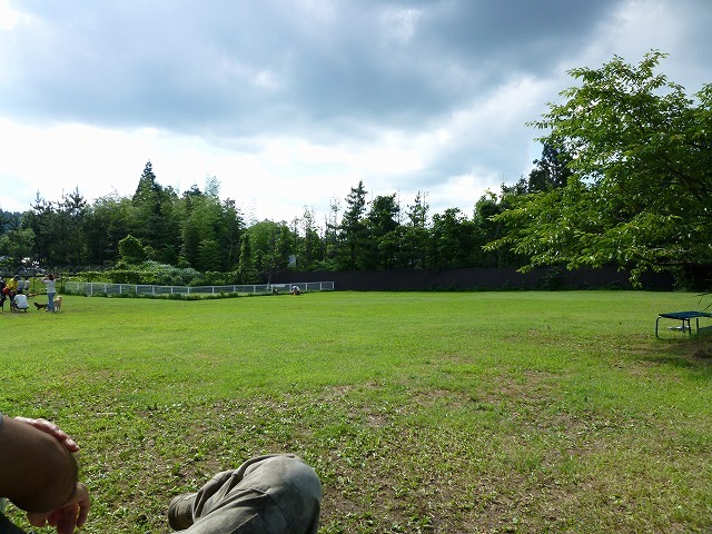 a0098513_13202389.jpg