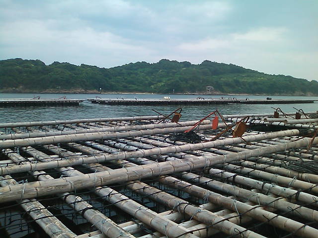 a0141113_20401998.jpg