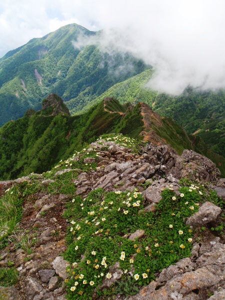 赤岳　真教寺尾根ルート（核心部編）_c0177814_12562943.jpg