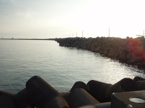 b0121015_1511329.jpg